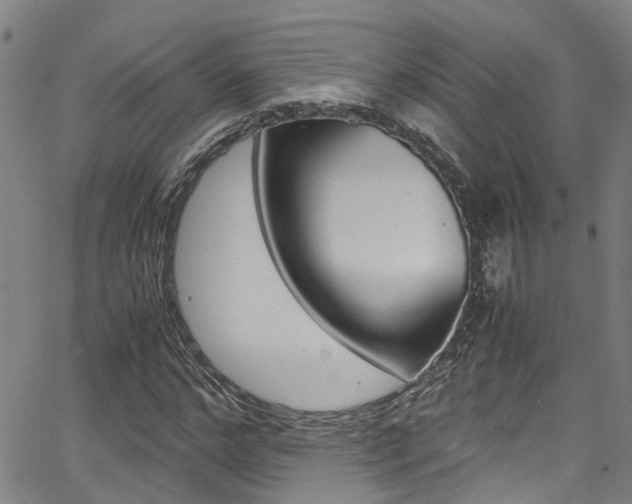 X0000066020968200603031024