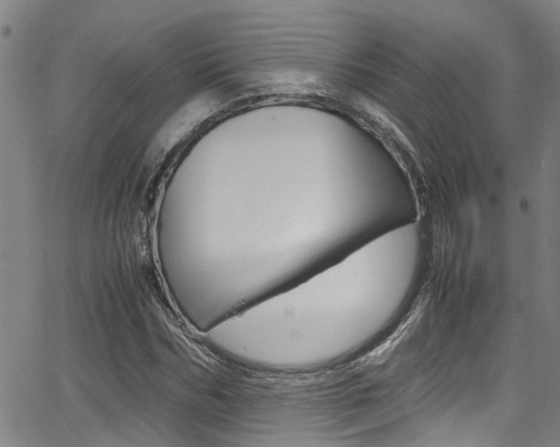 X0000066020970200603031024