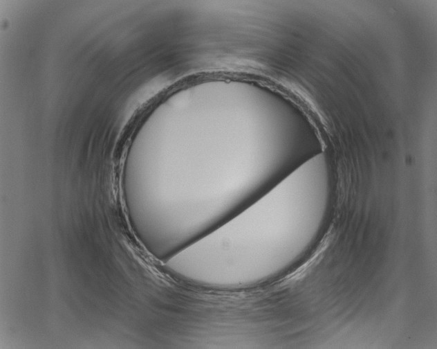 X0000066020974200603031024