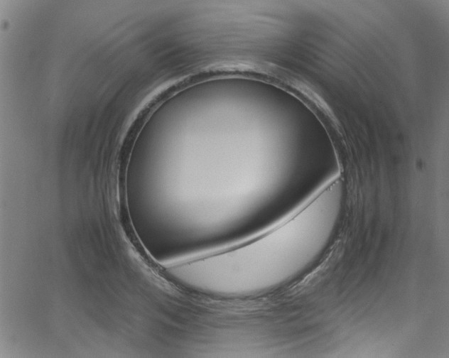 X0000066020984200603031024