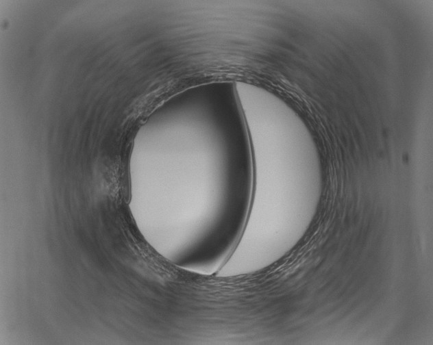 X0000066021012200603031023