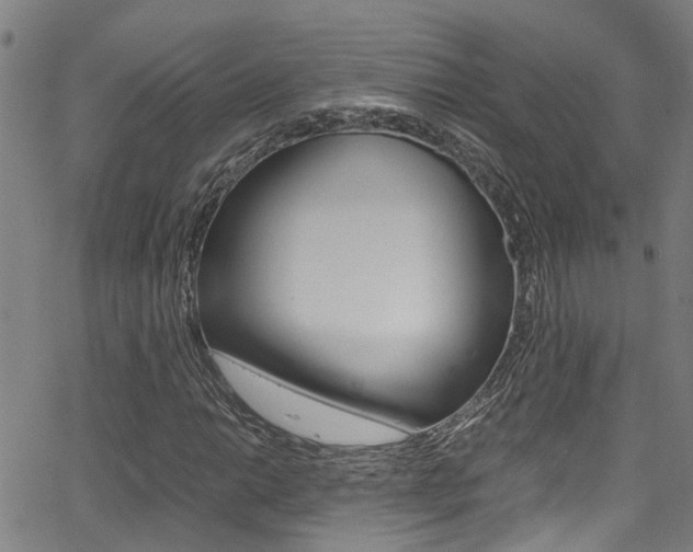 X0000066021014200603031023