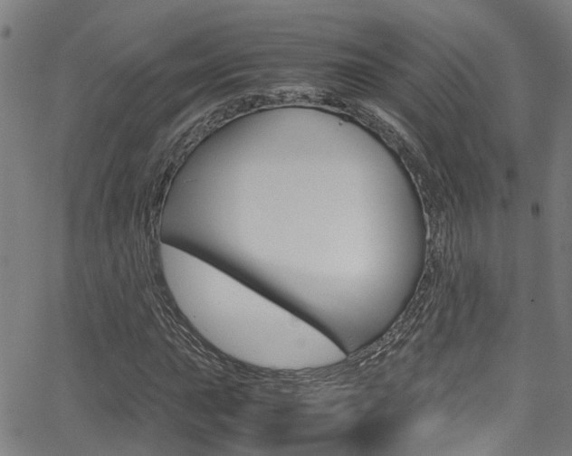 X0000066021015200603031023