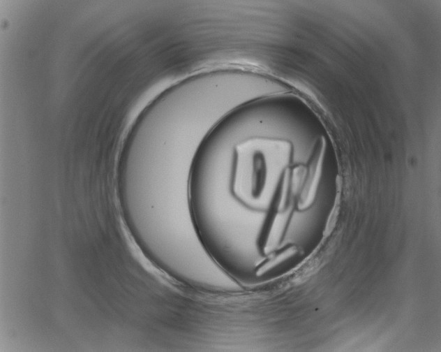 X0000066021038200603031023