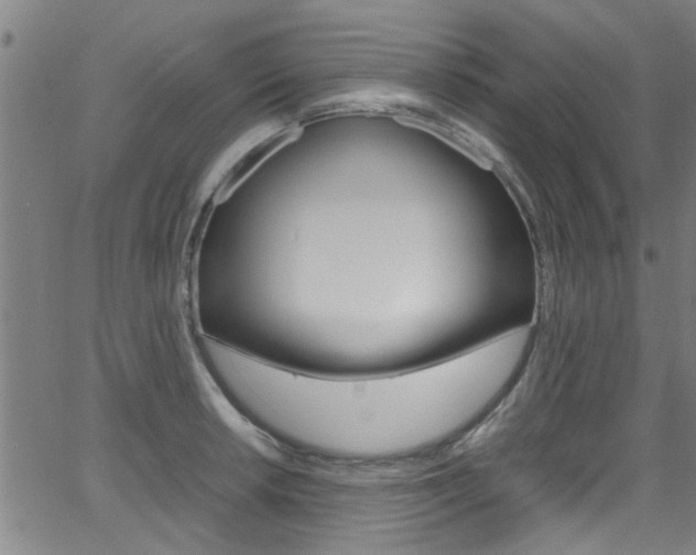 X0000066021042200603031023