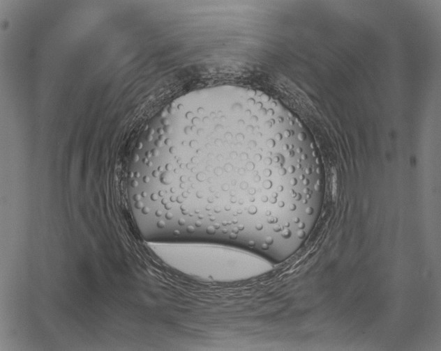 X0000066021059200603031023