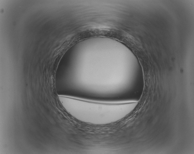X0000066021061200603031023