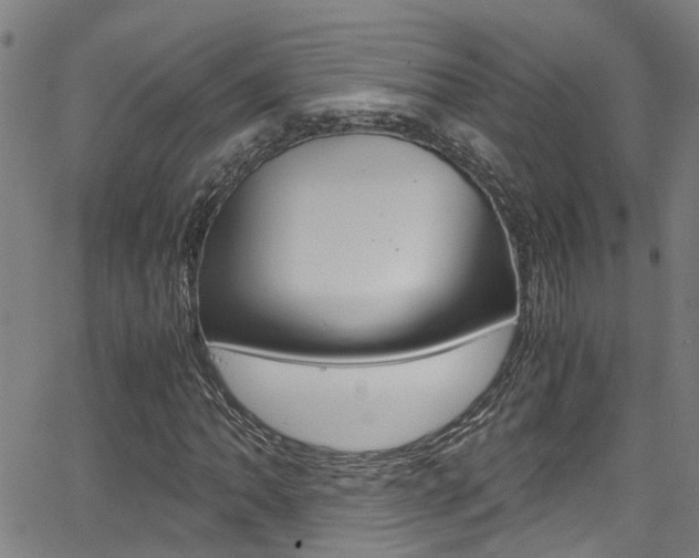 X0000066021062200603031023