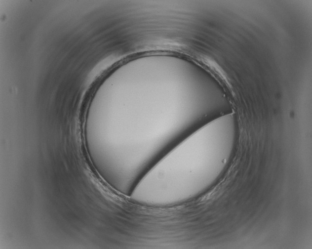 X0000066021072200603031022