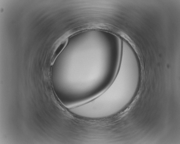 X0000066021089200603031022