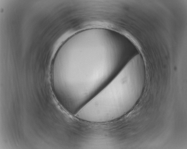 X0000066021104200603031022