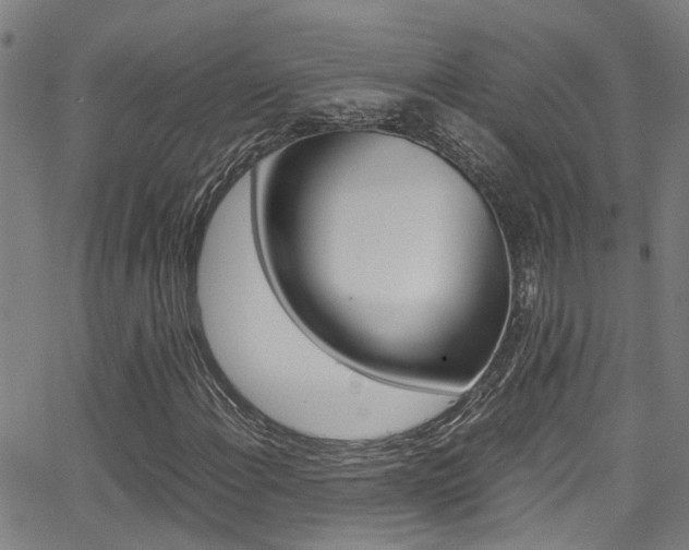 X0000066021108200603031021
