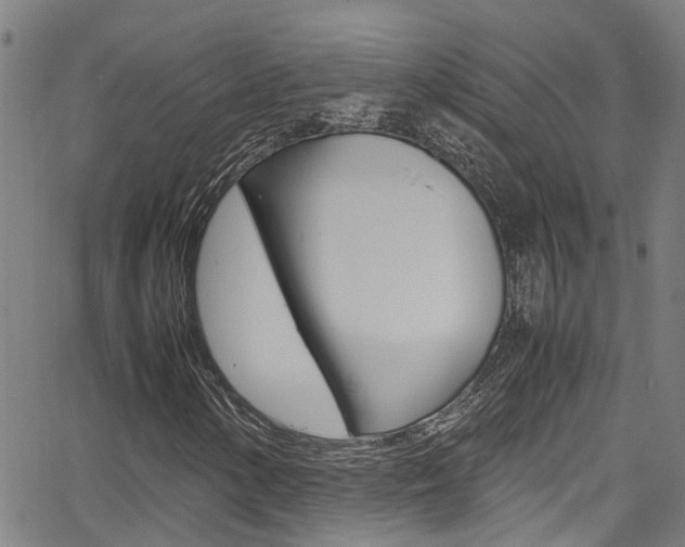 X0000066021154200603031021