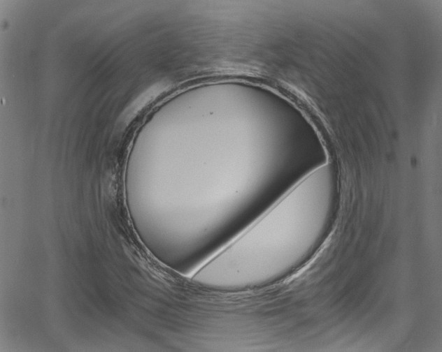 X0000066021163200603031021