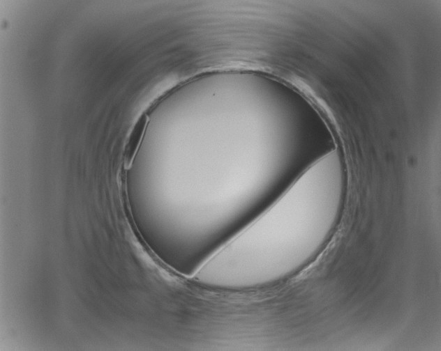 X0000066021189200603031021