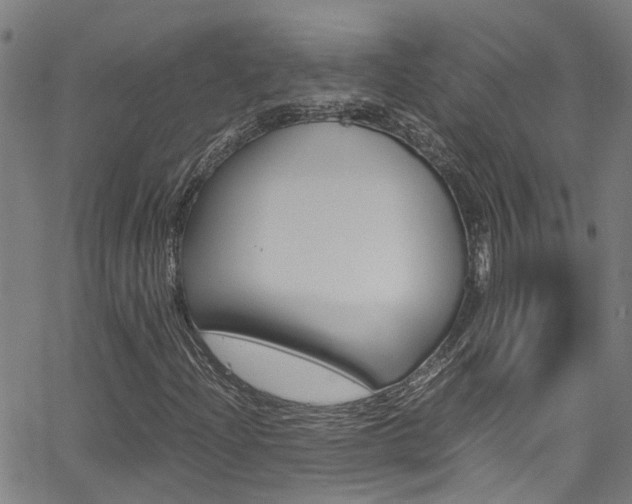 X0000066021204200603031020