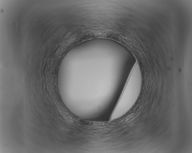 X0000066021249200603031020
