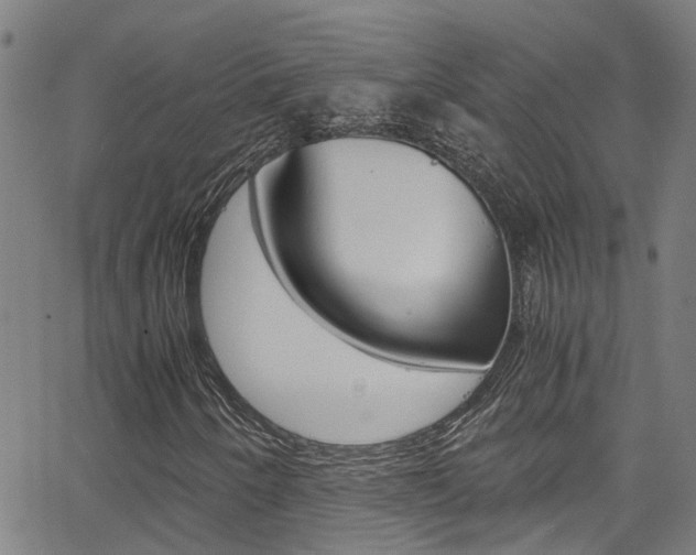 X0000066021250200603031020