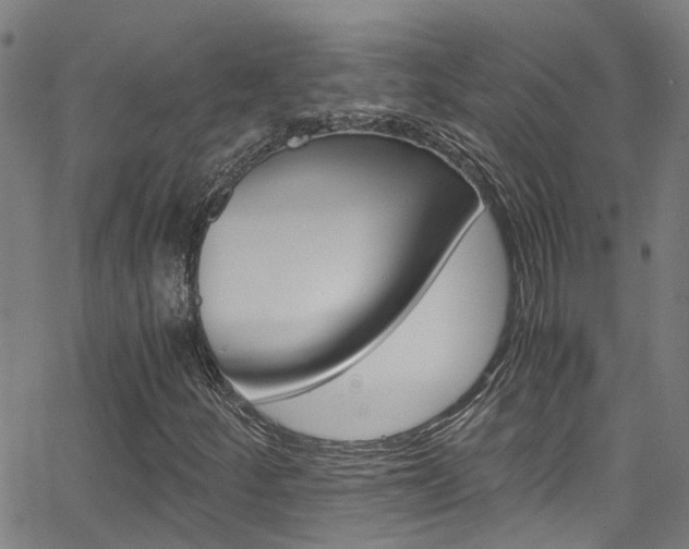 X0000066021252200603031020