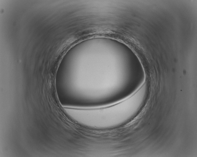 X0000066021257200603031019