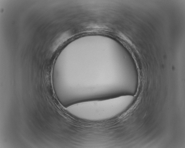 X0000066021259200603031019