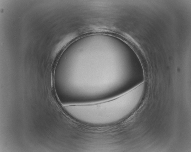 X0000066021269200603031019