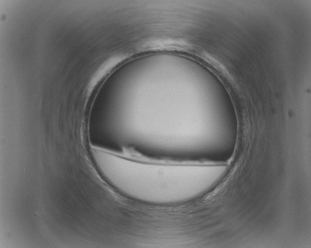 X0000066021277200603031019