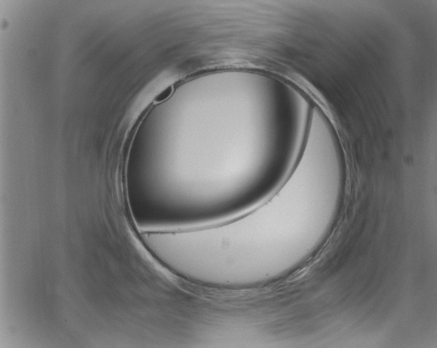 X0000066021293200603031019