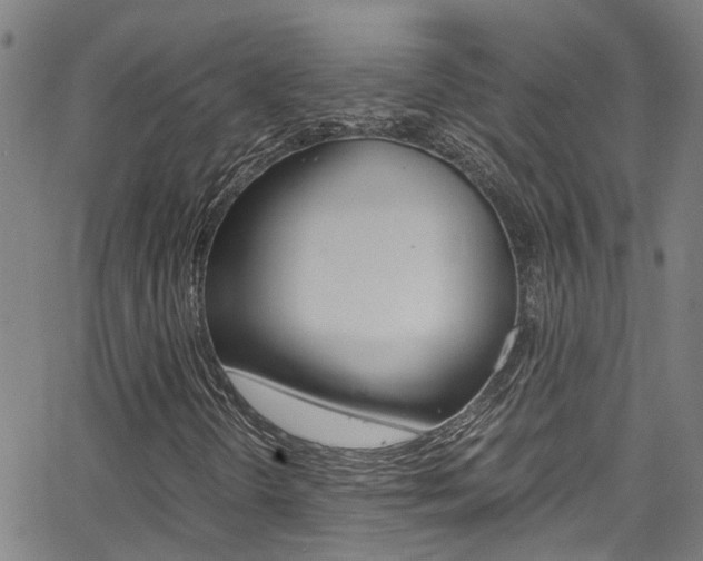 X0000066021298200603031018