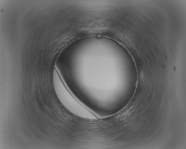 X0000066021300200603031018