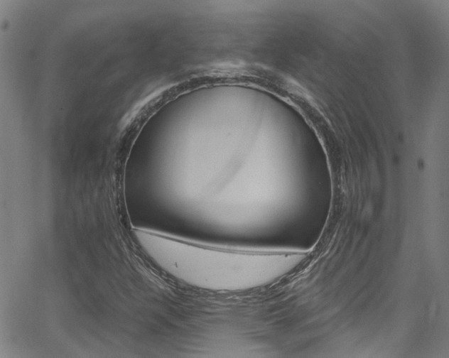 X0000066021304200603031018