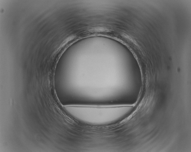 X0000066021305200603031018
