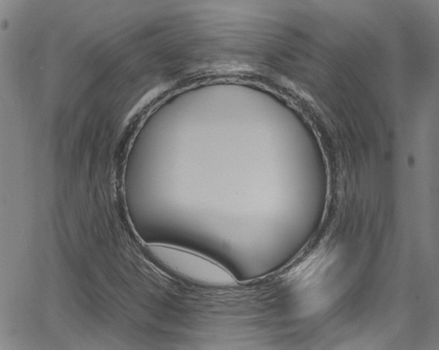 X0000066021306200603031018