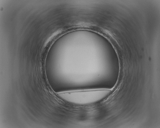 X0000066021307200603031018