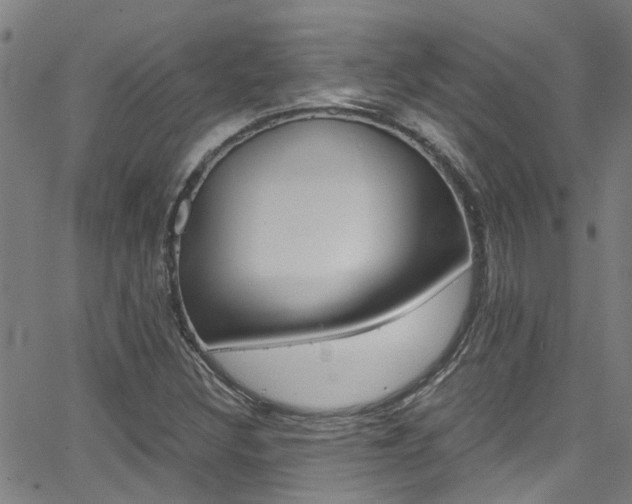 X0000066021308200603031018