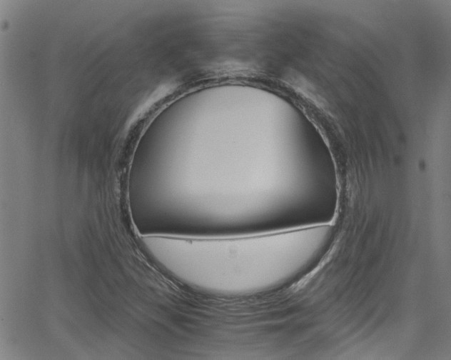 X0000066021309200603031018