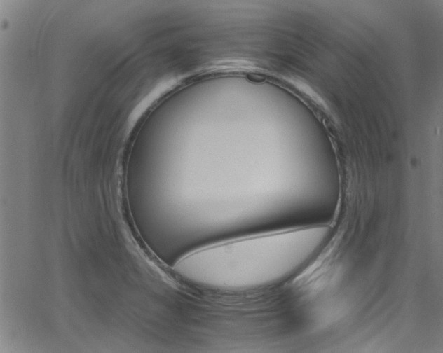 X0000066021325200603031019