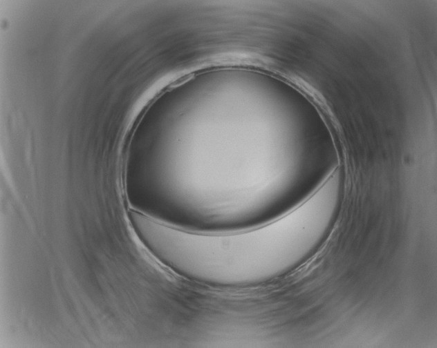X0000066021342200603031019