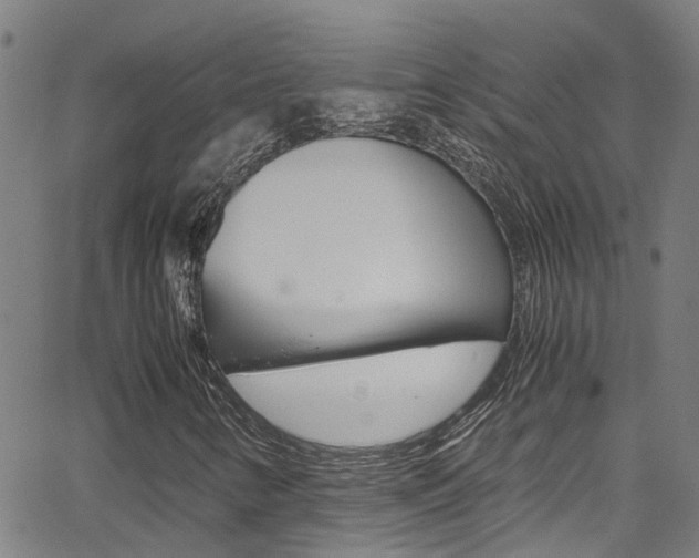 X0000066021346200603031018