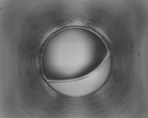 X0000066021356200603031018