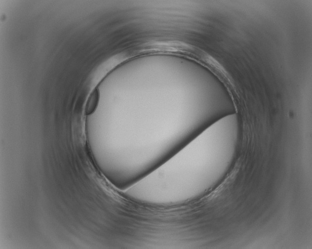 X0000066021370200603031018