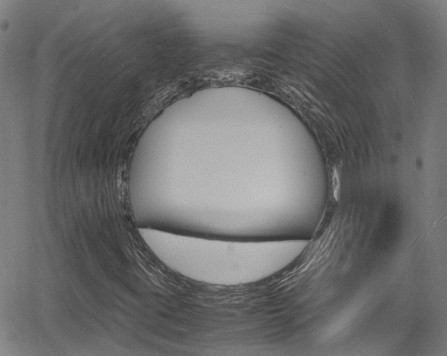 X0000066021395200603031017