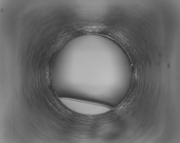 X0000066021396200603031017