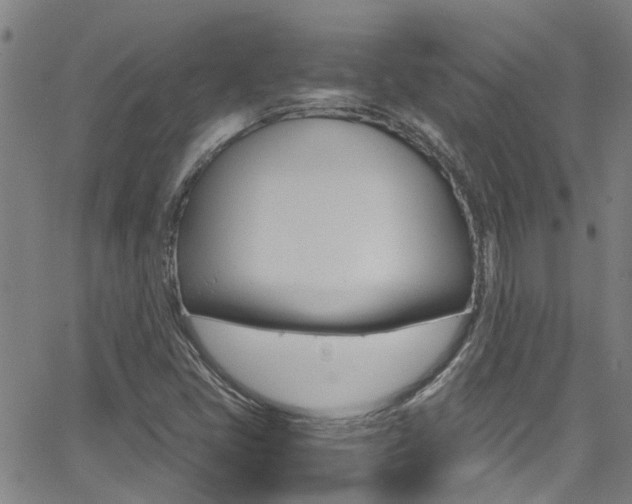 X0000066021405200603031017