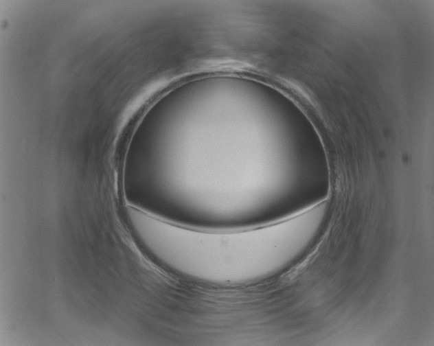 X0000066021414200603031017