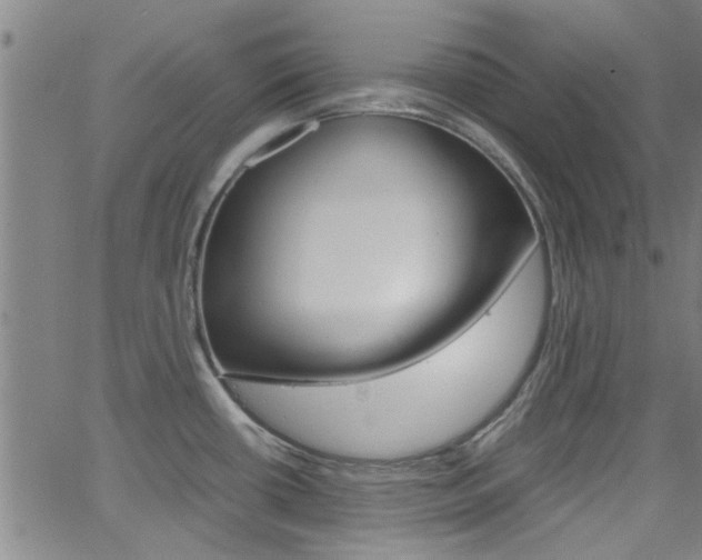 X0000066021434200603031017