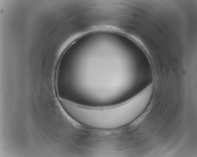 X0000066021438200603031017