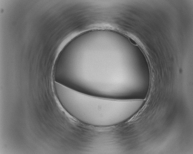 X0000066021440200603031017