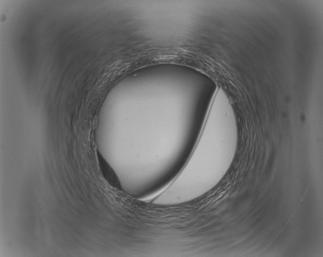 X0000066021441200603031016