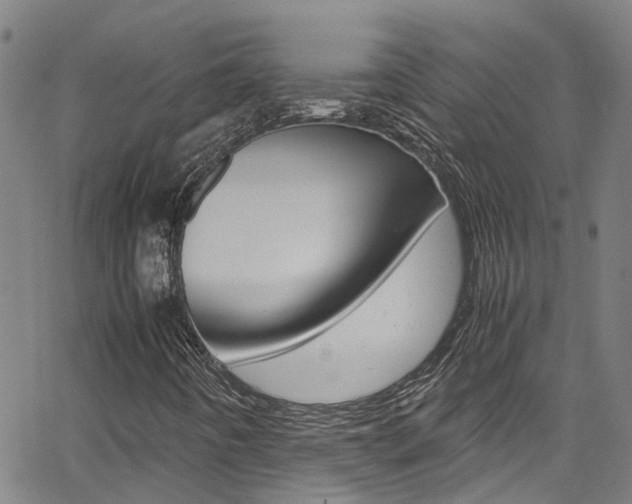 X0000066021442200603031016